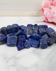 Lapis Lazuli Crystal Natural Gemstone Tumbled Stone | One Stone | Multiple Sizes! - 1
