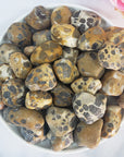 Leopardite Crystal Natural Gemstone Freeform Tumbled Stone - 6