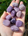 Lepidolite Natural Tumbled Stone - One Stone - Sunlight