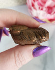 Unique Native Copper Nugget Formation Natural Gemstone | 1.9 oz | Lioness - 3