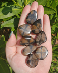 Chiastolite Andalusite Gemstone Natural Tumbled Stone | MEDIUM - In Sunlight