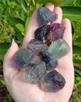 Raw Fluorite Crystal Natural Rough Gemstone Chunk | MEDIUM - In Sunlight