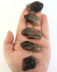 Smoky Quartz Raw Crystal Point - Medium - In Hand