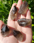 Smoky Quartz Raw Crystal Point - Medium - Direct Sunlight