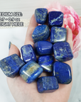 Lapis Lazuli Crystal Natural Gemstone Tumbled Stone | One Stone | Multiple Sizes! - 5