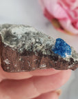 Unique Cavansite Crystal Cluster with White Stilbite in Basalt Matrix Natural Mineral Formation | Melpomene - 1