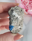 Unique Cavansite Crystal Cluster with White Stilbite in Basalt Matrix Natural Mineral Formation | Melpomene - 2