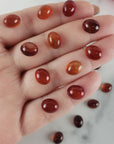 Carnelian Crystal Gemstone Natural Stone Cabochon | 10mm - 1