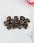 Chiastolite Andalusite Gemstone Natural Tumbled Stone | MINI - On Tile