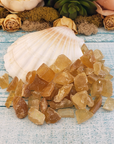 Honey Calcite Natural Raw Crystals Rough Gemstones - 3 Mini Stones - Next to Large Sea Shell