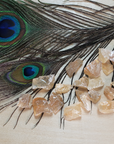 Honey Calcite Natural Raw Crystals Rough Gemstones - 3 Mini Stones - On Wooden Board with Peacock Feathers