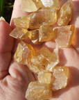 Honey Calcite Natural Raw Crystals Rough Gemstones - 3 Mini Stones - Close Up In Hand