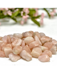 Morganite Pink Beryl Crystal Natural Gemstone Tumbled Stone | Multiple Sizes - 6