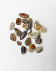 botswana agate crystals on white background