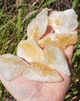 Raw Citrine Crystal | Natural Citrine Gemstone | Rough Gemstone Raw Crystal - Full Sunlight