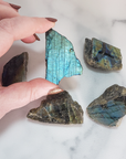 Flashy Labradorite Natural Crystal Rough Slice Slab - Multiple Sizes! - Blue Green Labradorite Stone