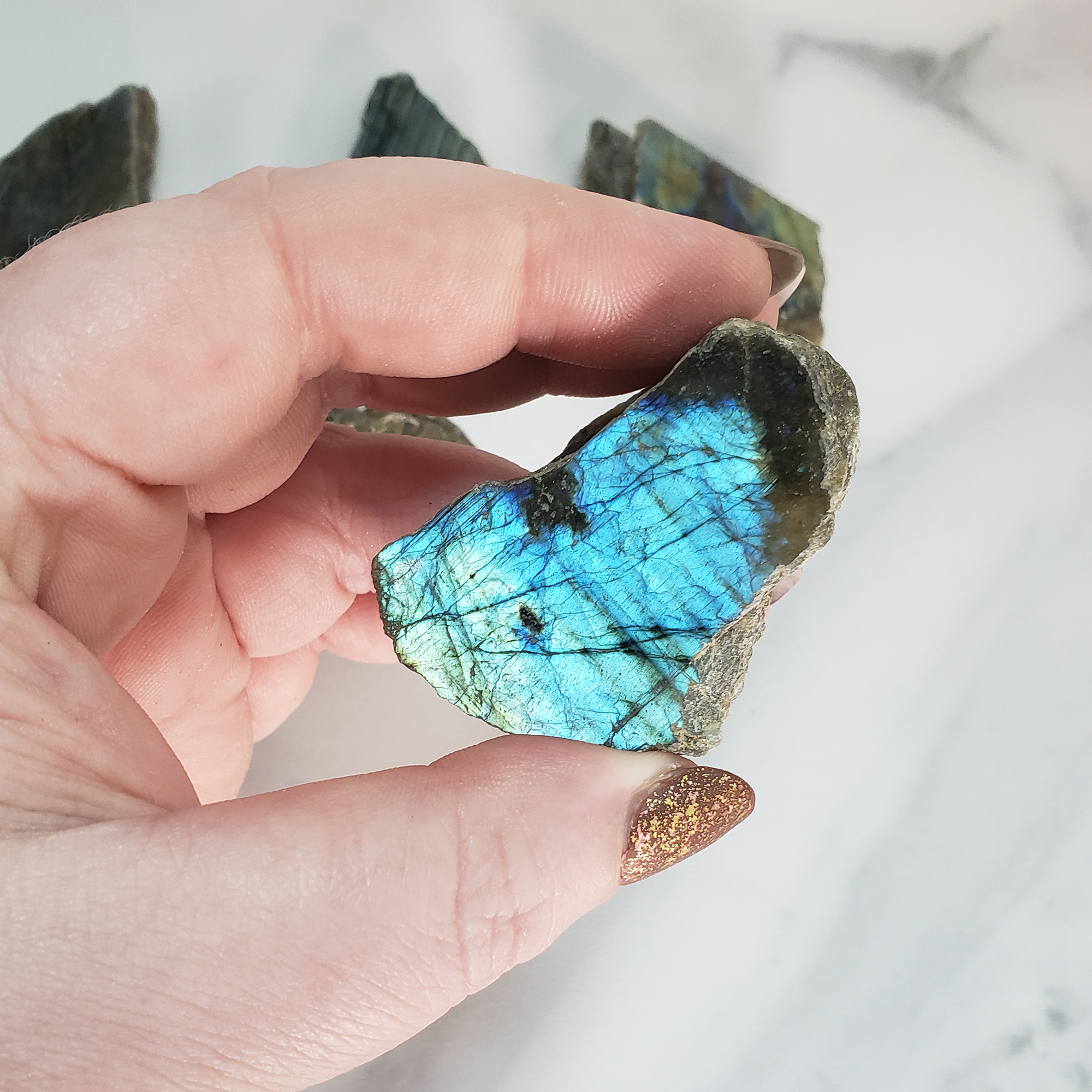 Flashy Labradorite Natural Crystal Rough Slice Slab - Multiple Sizes! - Blue Labradorite