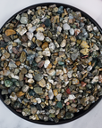 Ocean Jasper Stone Natural Crystal Chips By the Ounce