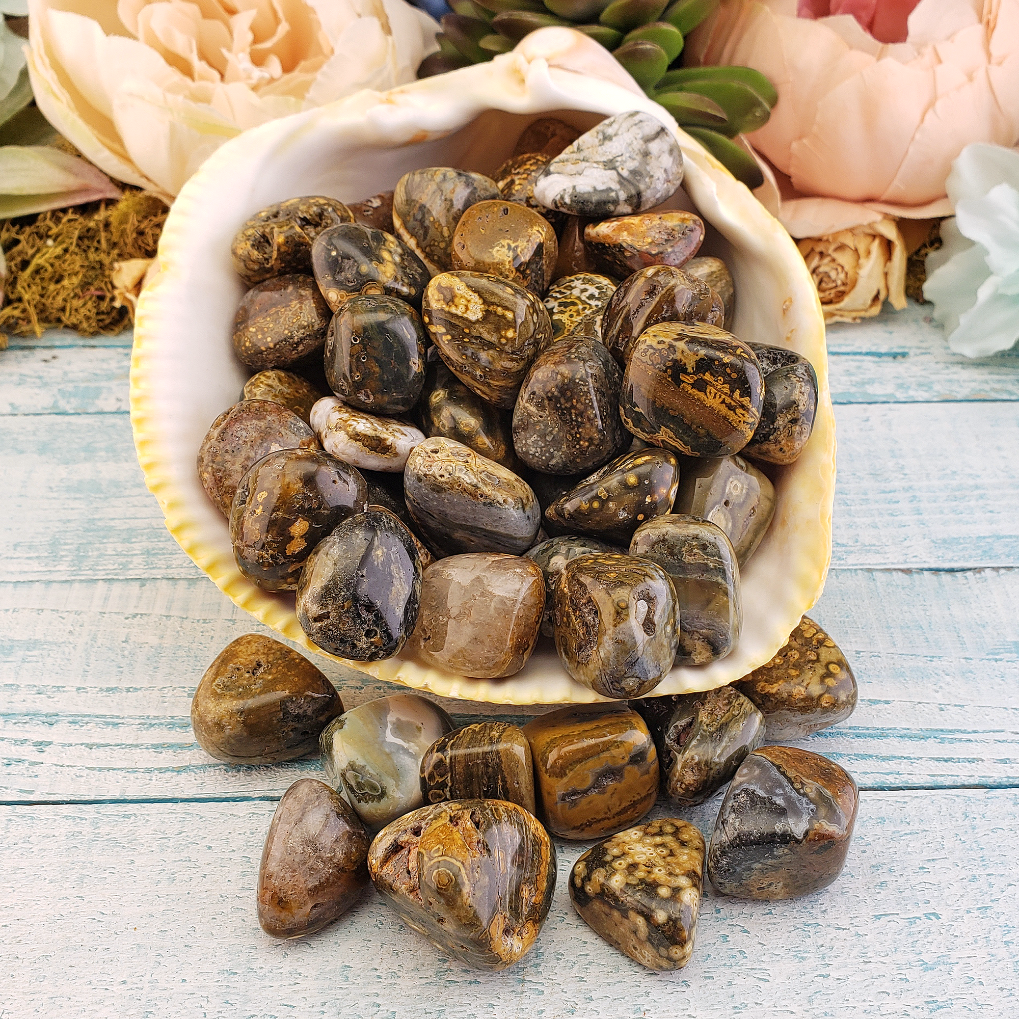 Ocean Jasper Natural Tumbled Stone - Rounded One Stone - In Shell
