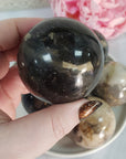 Palm Root Fossil Agatized Petrified Wood Natural Organic Gemstone Crystal Sphere Orb | 50mm - 55mm - 5