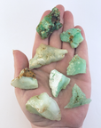 Chrysoprase Natural Raw Crystal Rough Gemstone - High Quality Small - In Hand 4