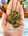 RAW Peridot Natural Rough Crystal Chips by the Ounce - 2