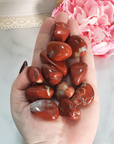 Red Jasper Stone Natural Gemstone Tumbled Crystal - In Hand