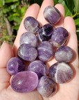 Indian Amethyst Natural Tumbled Crystal - One Stone - Bright Sunlight