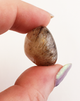Rutilated Quartz Crystal Natural Gemstone Tumbled Stone - Close Up 5