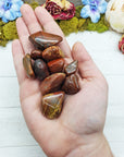 red agatized wood stones in hand
