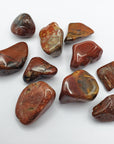 red agatized wood stones on white background