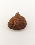 Unique Native Copper Nugget Formation Natural Gemstone | 1.4 oz | Saddle