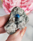 Unique Cavansite Crystal Cluster with White Stilbite in Basalt Matrix Natural Mineral Formation | Siduri - 4