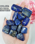 Lapis Lazuli Crystal Natural Gemstone Tumbled Stone | One Stone | Multiple Sizes! - 4