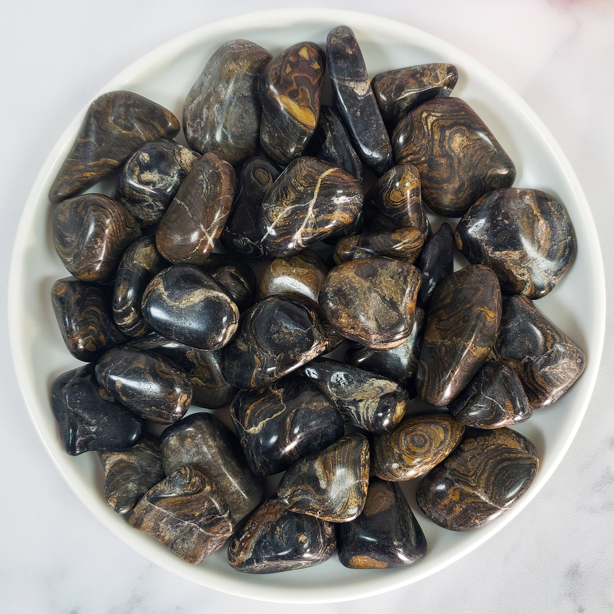 Fossilized Stromatolite Stone Natural Organic Gemstone Freeform