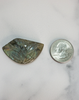 Unique 50 Carat Labradorite Cabochon Natural Gemstone Carving - Succulent - Size Comparison