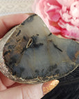 Unique Jumbo Dendritic Agate Crystal Natural Freeform Gemstone | Veil