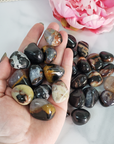 Black Sardonyx Stone Natural Crystal Tumbled Stone - 6