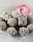 Desert Rose Selenite Crystal Cluster Rough Mineral Formation | Heat Treated