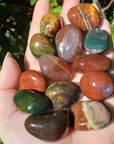 Fancy Jasper Crystal Natural Gemstone Tumbled Stone | One Stone - 5