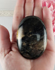 Unique Palm Root Fossilized Petrified Wood Natural Organic Gemstone Crystal Palm Stone | Ferocia - 1