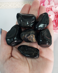 Black Onyx Crystal Natural Gemstone Freeform Tumbled Stone | Multiple Sizes - Large
