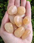 Gold Quartz Crystal Natural Gemstone Tumbled Stone | One Stone | aka Yellow Aventurine - 6