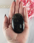 Unique Palm Root Fossilized Petrified Wood Natural Organic Gemstone Crystal Palm Stone | Gratiae - 4