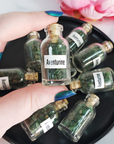 Green Aventurine Crystal Natural Gemstone Chips in Glass Bottle - 1