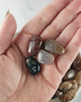 Tumbled Stones Crystal Set for Grounding & Centering | Petrified Wood, Chalcedony, Brown Aragonite, Moss Agate - Inner Peace
