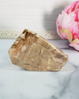 Unique Petrified Wood Stone Slab Fossil Slice Natural Gemstone - Honor - 1