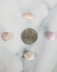 Kunzite Crystal Natural Gemstone Tumbled Stone | SMALL | One Stone - 4