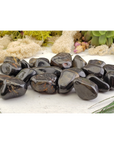 Black Onyx Crystal Natural Gemstone Freeform Tumbled Stone | Multiple Sizes - 1