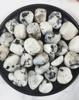 Rainbow Moonstone Crystal Natural Gemstone Tumbled Stone